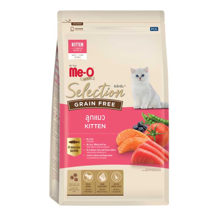 Gold selection kitten meo