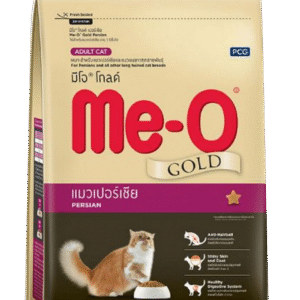 Meo gold persian adult