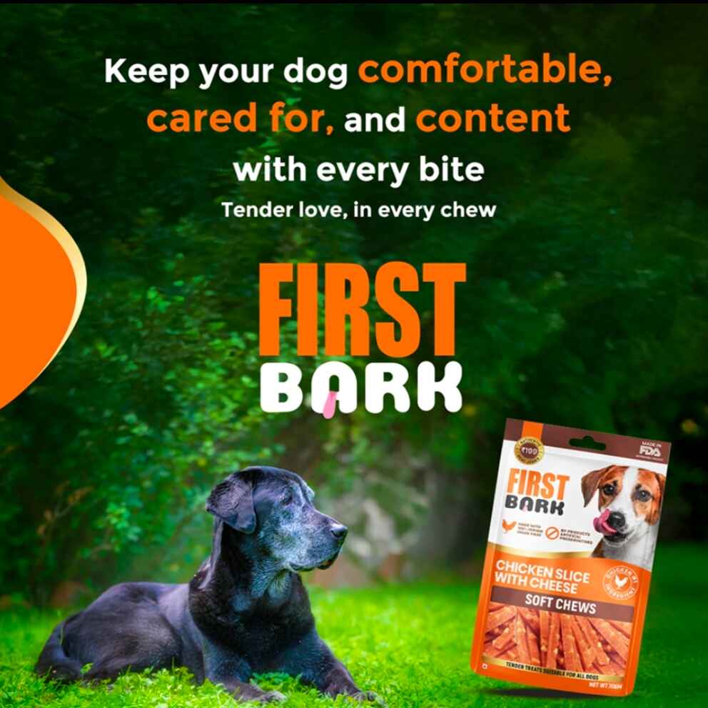 First Bark – Chicken Slice with Cheese | Soft Chews for Dogs - Image 2