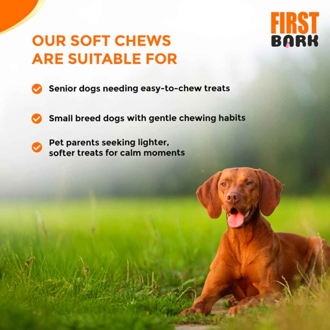 First Bark – Chicken Slice with Cheese | Soft Chews for Dogs - Image 4