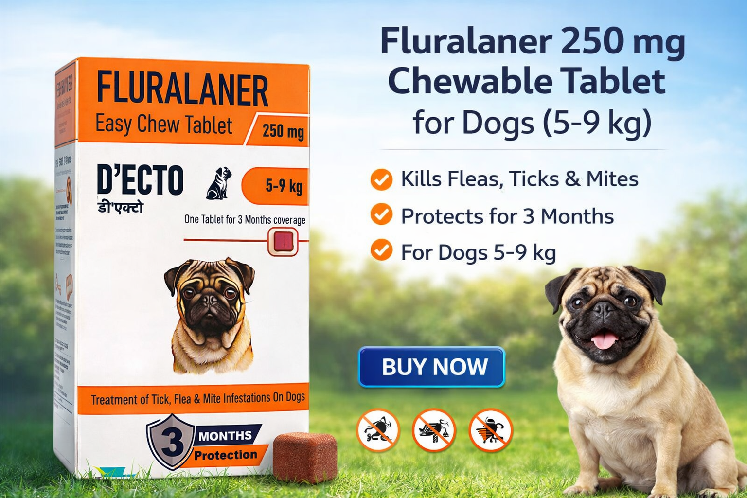 D’ECTO Fluralaner 250 mg Chewable Tablet for Dogs (5-9 kg) – 3 Months Tick & Flea Protection