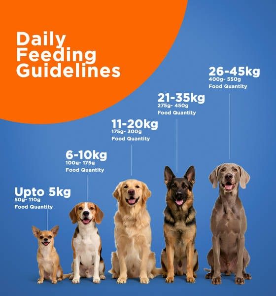 Godrej Ninja Dog Food 20kg chicken and multigrain adult dry dog food bag