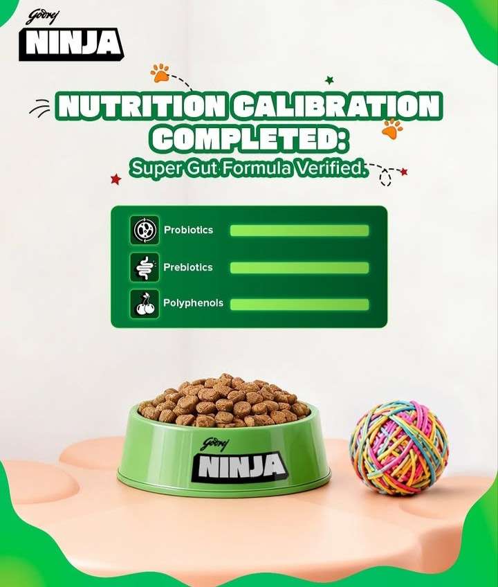 Godrej Ninja More Gut Power Adult Cat Food – Tuna & Chicken with Added Taurine (1kg) - Image 2