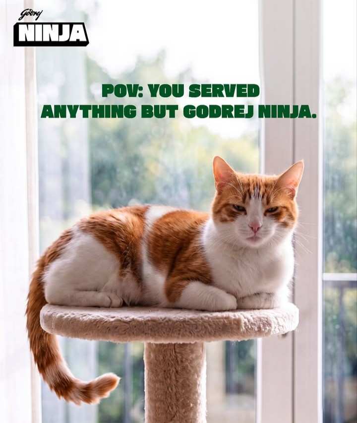 Godrej Ninja More Gut Power Kitten Cat Food – Tuna & Chicken with Added Taurine (3kg) - Image 2