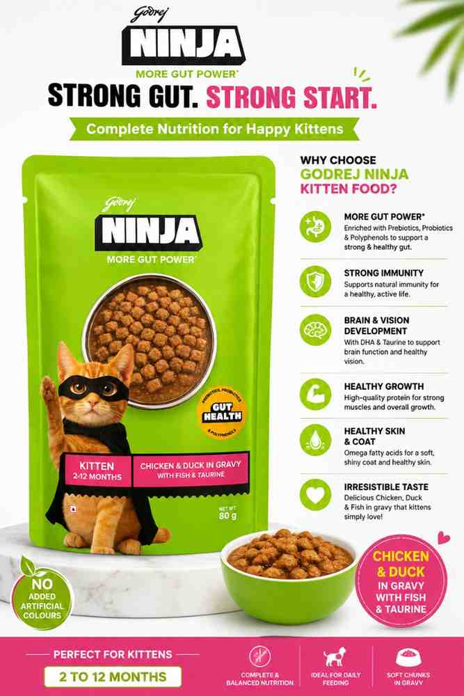 Godrej NINJA More Gut Power Kitten Wet Food – Chicken & Duck in Gravy with Fish & Taurine (Pack of 15 x 80g) - Image 2