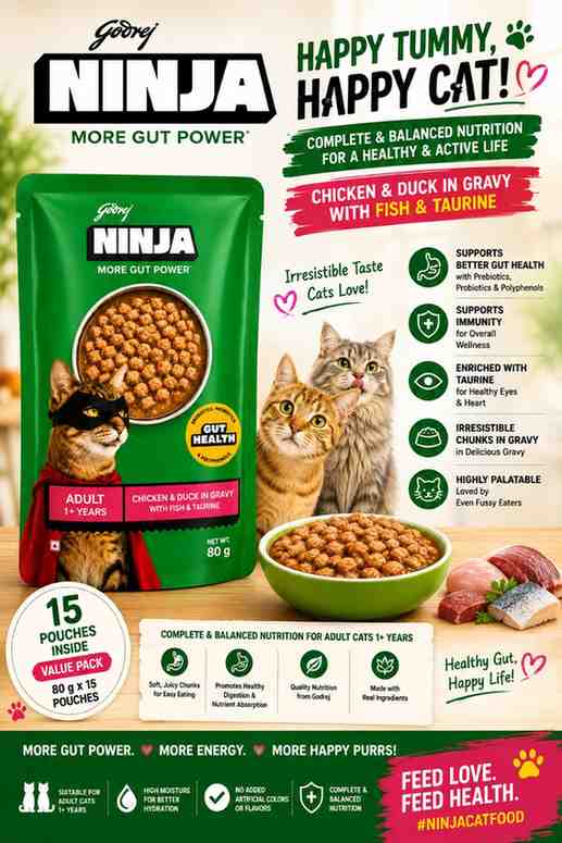Godrej NINJA More Gut Power Adult Cat Wet Food – Chicken & Duck in Gravy with Fish & Taurine (80g × 15 Pouches) Box - Image 2