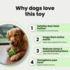 The Pet Sound Ball Squeaky Bouncing Chew Ball for Dogs – 11cm Medium