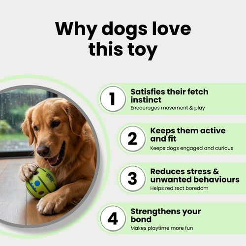 Pet Sound Ball Bouncing & Squeaky Chew Ball for Dogs – 14cm Large - Image 3