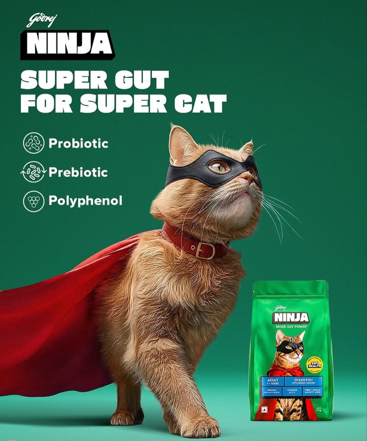 Godrej NINJA More Gut Power Adult Cat Food – Ocean Fish with Added Taurine (3kg) - Image 2