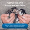 PetAg KMR Kitten Milk Replacer – 6oz