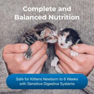 PetAg KMR Kitten Milk Replacer – 6oz