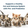 PetAg KMR Kitten Milk Replacer – 6oz