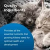 PetAg KMR Kitten Milk Replacer
