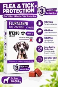 D’ECTO FLURALANER Easy Chew Tablet 1400 mg – (40–60 kg)