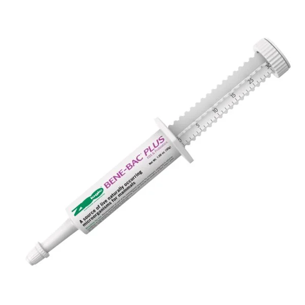 PetAg Zoologic Bene-Bac Plus Probiotic Gel for Dogs, Cats & Small Animals – 30g