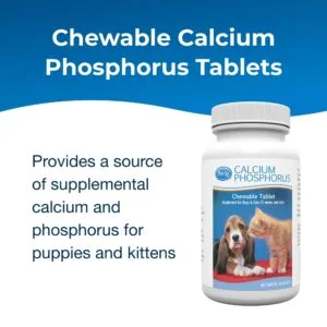PetAg Calcium Phosphorus Chewable Tablets for Dogs & Cats – 50 Tablets