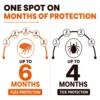 FurTICK Fluralaner Spot On for Dogs – 20–40 kg