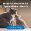 Taurine Tablets for Cats