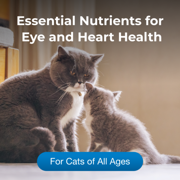 Taurine Tablets for Cats