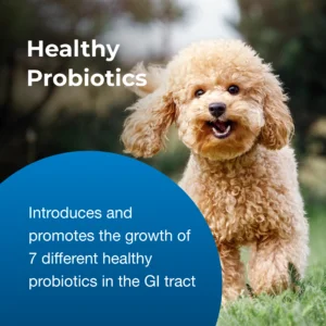 PetAg Bene-Bac Probiotics & Prebiotics – Digestion & Gut Health Supplement (127g)